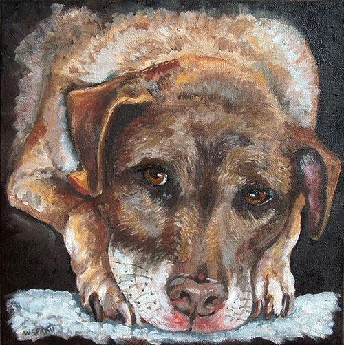 Buster-oil-WEB buster oil on canvas