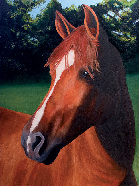 Taas-oil-WEB oil painting of Taas the horse